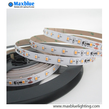 DC12V / 24V boa qualidade com preço moderado 2835 SMD LED Strip